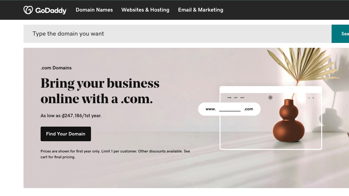 GoDaddy website